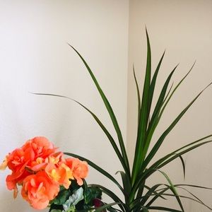 Meet your Posher, Rajagopal